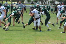 Enlarge photo 354