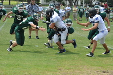 Enlarge photo 355