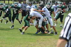 Enlarge photo 357