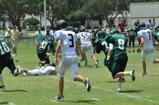 Enlarge photo 364