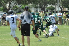 Enlarge photo 367
