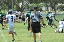 Enlarge photo 368
