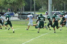 Enlarge photo 377