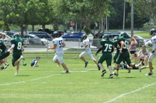 Enlarge photo 379