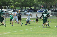 Enlarge photo 381