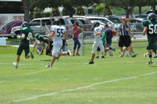 Enlarge photo 383