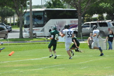Enlarge photo 384