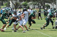 Enlarge photo 427