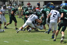 Enlarge photo 432