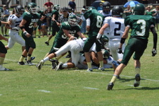 Enlarge photo 433