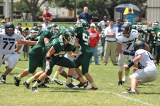 Enlarge photo 447