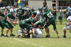 Enlarge photo 451