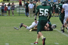 Enlarge photo 466