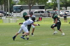Enlarge photo 473