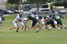 Enlarge photo 479