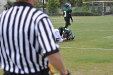 Enlarge photo 489