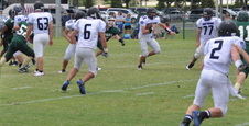 Enlarge photo 492