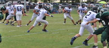 Enlarge photo 493