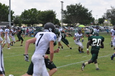 Enlarge photo 497