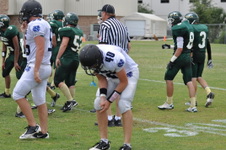 Enlarge photo 521