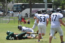 Enlarge photo 537