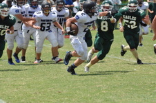 Enlarge photo 562