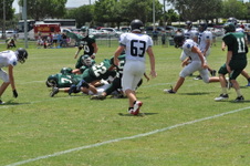 Enlarge photo 587