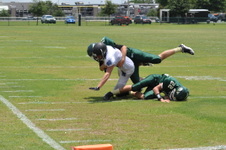 Enlarge photo 627