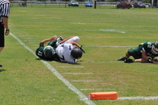 Enlarge photo 629