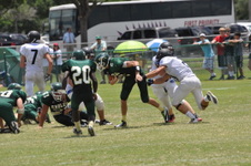 Enlarge photo 714