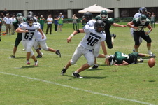 Enlarge photo 780
