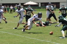 Enlarge photo 781