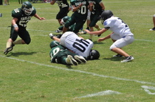 Enlarge photo 785