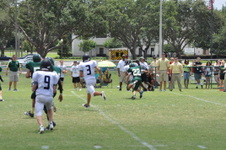 Enlarge photo 803