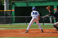 Enlarge photo 236