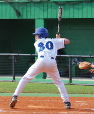 Enlarge photo 240