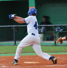 Enlarge photo 259