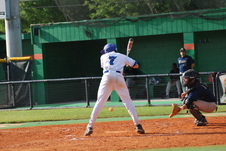 Enlarge photo 457