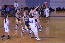 Enlarge photo 57