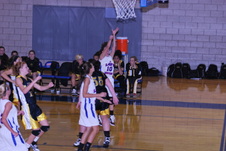 Enlarge photo 113