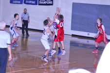 Enlarge photo 47