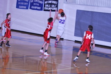 Enlarge photo 133