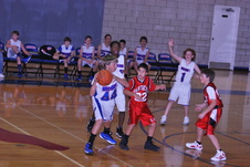 Enlarge photo 195