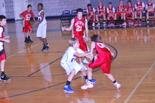 Enlarge photo 196