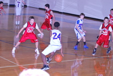 Enlarge photo 206