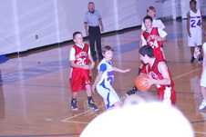Enlarge photo 214