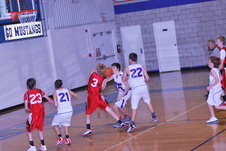 Enlarge photo 227