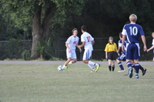 Enlarge photo 88