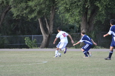 Enlarge photo 96