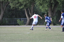 Enlarge photo 97